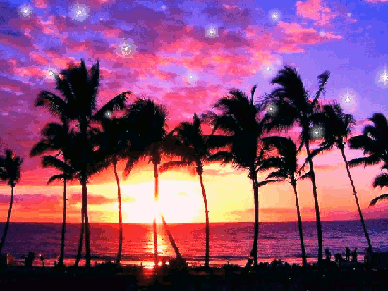 Charlie Freak and Collywog Q&A: NESARA, DUMBs, Med Beds, God Wins (Partially Transcribed by Kat)