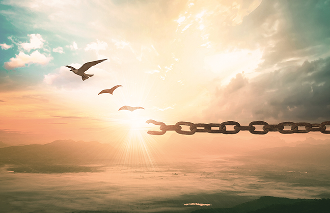 Enjoy the Miracle || James O'Brien