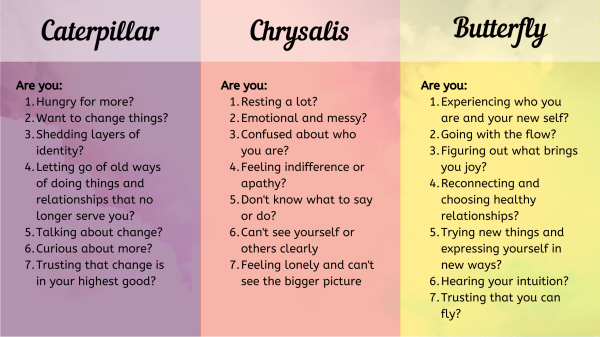 Are you a butterfly?